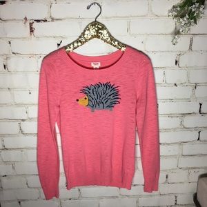 Porcupine coral sweater. Size medium.